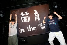 さくらしめじ（撮影：ハヤシサトル）