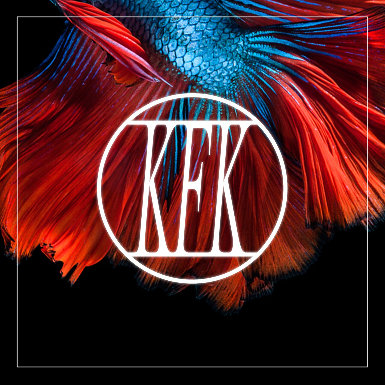 本日「雨」リリースしたカフカ、12月に「NIGHT CIRCUS」開催