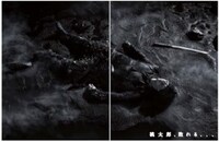 「隠しメッセージ入り桃太郎ボトル」に封入された写真。