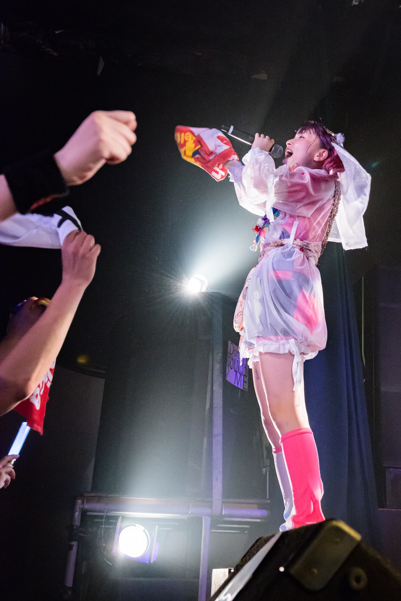ようなぴ（Photo by shinz）