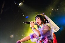 けちょん（Photo by shinz）