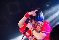 しふぉん（Photo by shinz）