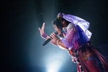 けちょん（Photo by shinz）