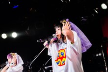 けちょん（Photo by shinz）