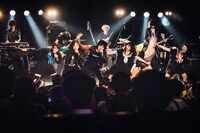 THE 夏の魔物「シン・マモノボンバイエ TOUR」最終公演の様子。（撮影：タイコウクニヨシ）