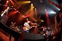 MOSHIMO「ワンマンツアー2017夏『今宵もキミにこころあり』」東京・WWW公演の様子。（撮影：樋渡新一）