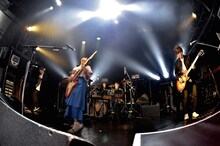 MOSHIMO「ワンマンツアー2017夏『今宵もキミにこころあり』」東京・WWW公演の様子。（撮影：樋渡新一）