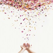 LACCO TOWER「遥」ジャケット