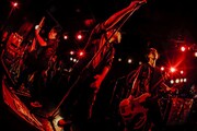 「AA= TOUR #5 ver.2.0」神奈川・F.A.D YOKOHAMA公演の様子。(撮影:西槇太一)