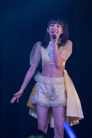 ヒマワリ（提供：林晋介）