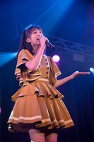 ヒマワリ（提供：林晋介）