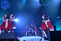 私立恵比寿中学