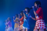 アップアップガールズ（仮）「ライブハウスツアー2017 アップアップガールズ（仮）∞ Lives Change & Evolution」東京・Zepp Tokyo公演の様子。（写真提供：YU-Mエンターテインメント）