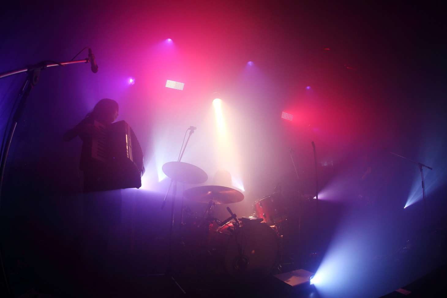 Boris（Photo by Miki Matsushima）