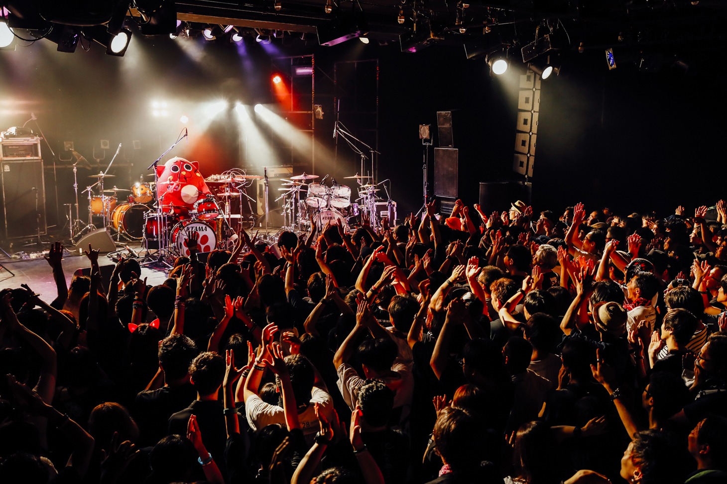 にゃんごすたーのライブの様子。（撮影：西槇太一）