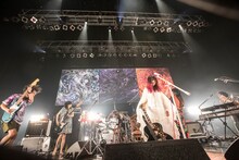 大森靖子「2017 LIVE TOUR "kitixxxgaia"」東京・Zepp DiverCity TOKYO公演の様子。（Photo by Masayo）