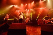 the pillows「NOOK IN THE BRAIN TOUR」最終公演の様子。［撮影：橋本塁（SOUND SHOOTER）］