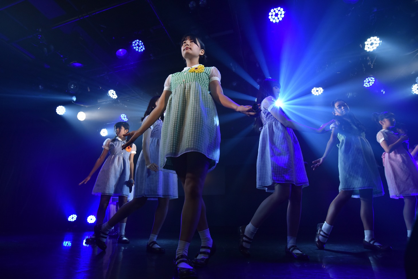 2015年の春衣装に身を包んでパフォーマンスするハコイリ▽ムスメ。