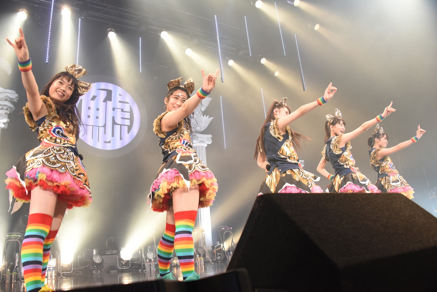 チームしゃちほこ