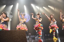 チームしゃちほこ