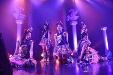 チームしゃちほこ