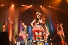 チームしゃちほこ