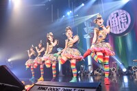 チームしゃちほこ