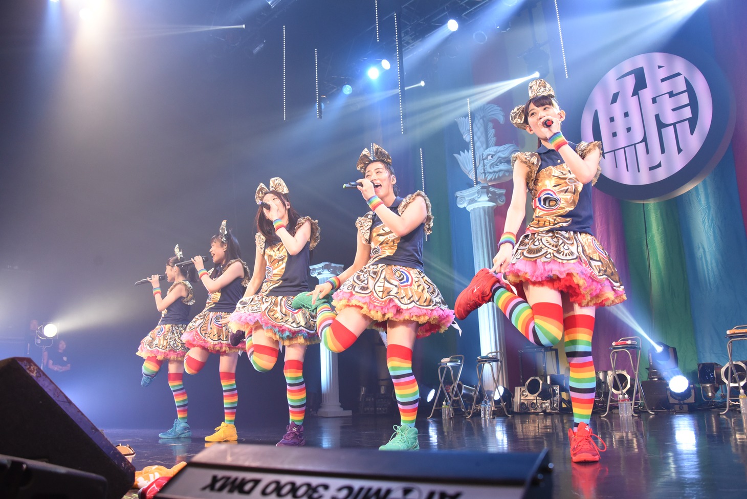 チームしゃちほこ