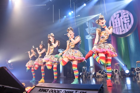 チームしゃちほこ