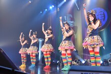 チームしゃちほこ