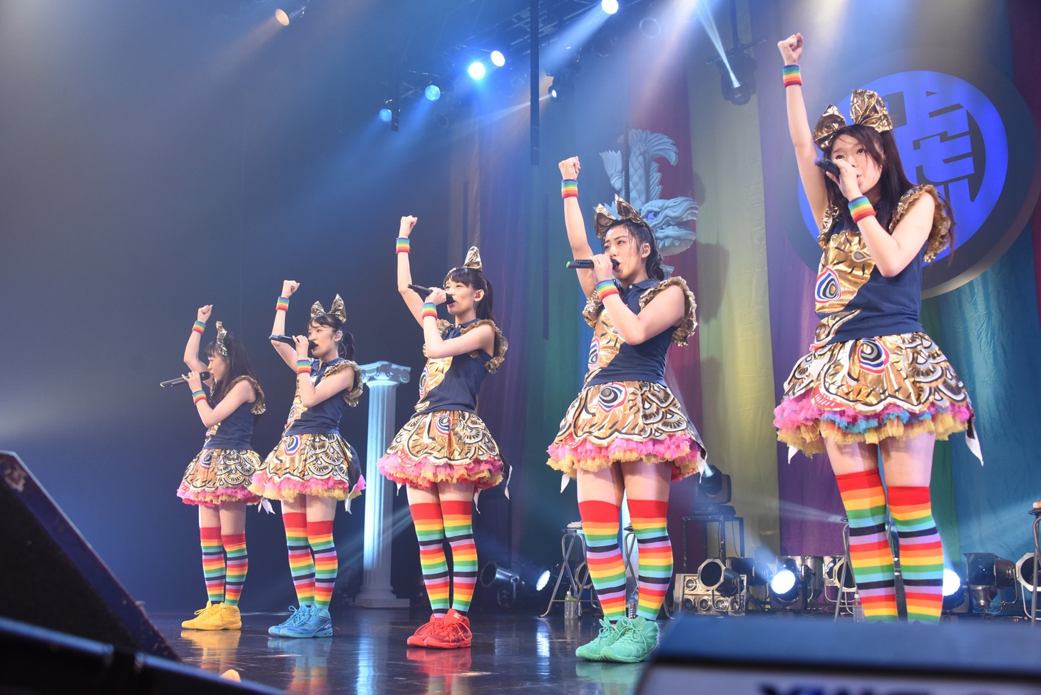 チームしゃちほこ