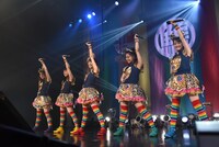 チームしゃちほこ