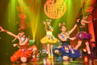 チームしゃちほこ