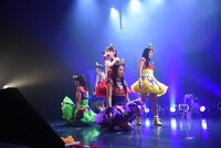 チームしゃちほこ