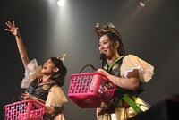 菓子撒きをする秋本帆華、坂本遥奈。