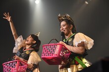 菓子撒きをする秋本帆華、坂本遥奈。