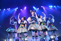 チームしゃちほこ