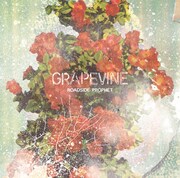 GRAPEVINE「ROADSIDE PROPHET」通常盤ジャケット
