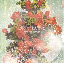 GRAPEVINE「ROADSIDE PROPHET」通常盤ジャケット