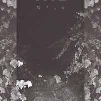 Melotronmelon「WAAW」ジャケット