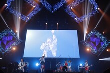 「スカパー！ サマーフェス 2017 powered by FULL CHORUS」でのThinking Dogs。（写真提供：ソニー・ミュージックレコーズ）