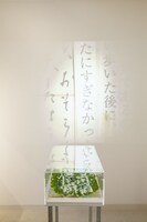 吉増剛造「エクリチュールの洞窟の心の隅の染の方へ」   （参考作品） （写真提供：札幌国際芸術祭事務局）