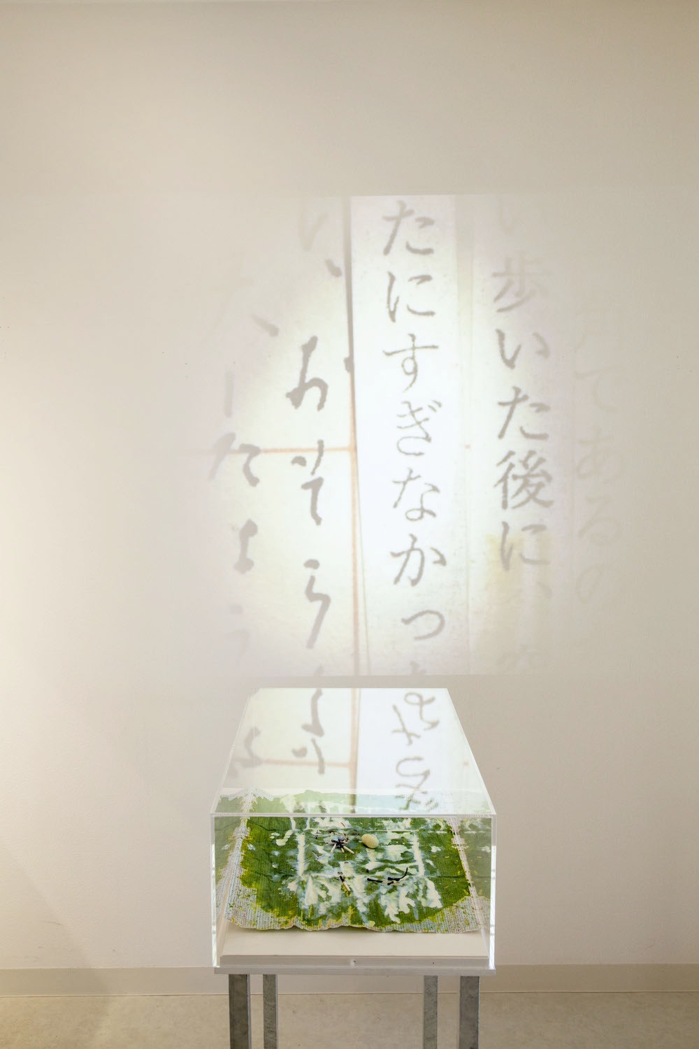 吉増剛造「エクリチュールの洞窟の心の隅の染の方へ」   （参考作品） （写真提供：札幌国際芸術祭事務局）