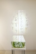 吉増剛造「エクリチュールの洞窟の心の隅の染の方へ」   (参考作品) (写真提供:札幌国際芸術祭事務局)