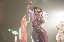 けちょん（写真：荻原楽太郎）