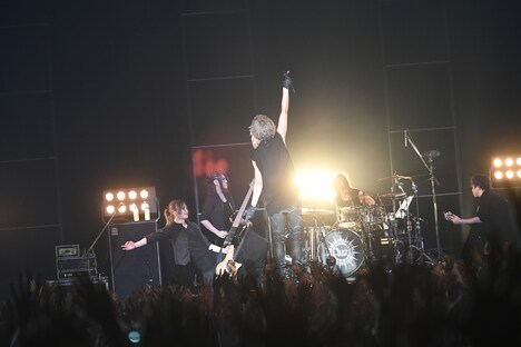 luz「luz 2nd TOUR -Reflexion-」最終公演の様子。（撮影：小松陽祐［ODD JOB］、岡本麻衣）