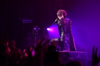 luz（撮影：小松陽祐［ODD JOB］、岡本麻衣）