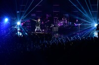 luz「luz 2nd TOUR -Reflexion-」最終公演の様子。（撮影：小松陽祐［ODD JOB］、岡本麻衣）