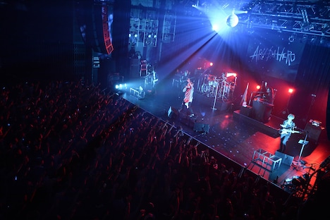 「ASH DA HERO ONE MAN SHOW 2017 BRAND NEW WORLD」の様子。（撮影：緒車寿一）