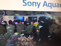 Anlyのミニライブの様子。